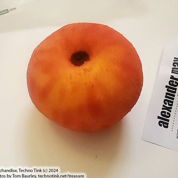 Sponge Apple by Alexander May - Trick - Picture 6 of 8